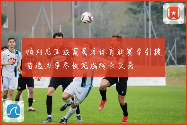 帕利尼亚成葡萄牙体育新赛季引援首选力争尽快完成转会交易