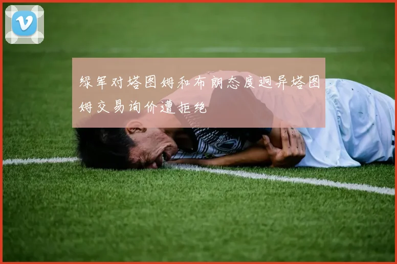 绿军对塔图姆和布朗态度迥异塔图姆交易询价遭拒绝