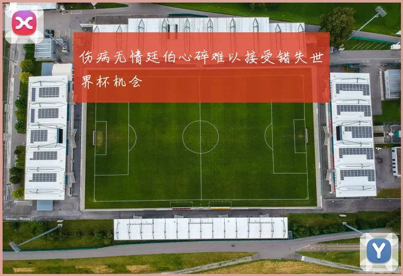 伤病无情廷伯心碎难以接受错失世界杯机会